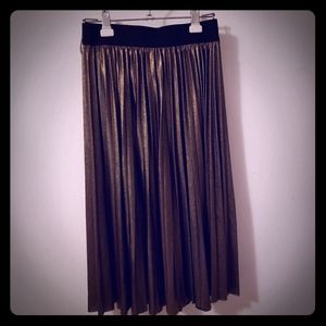 Metallic pleated skirt